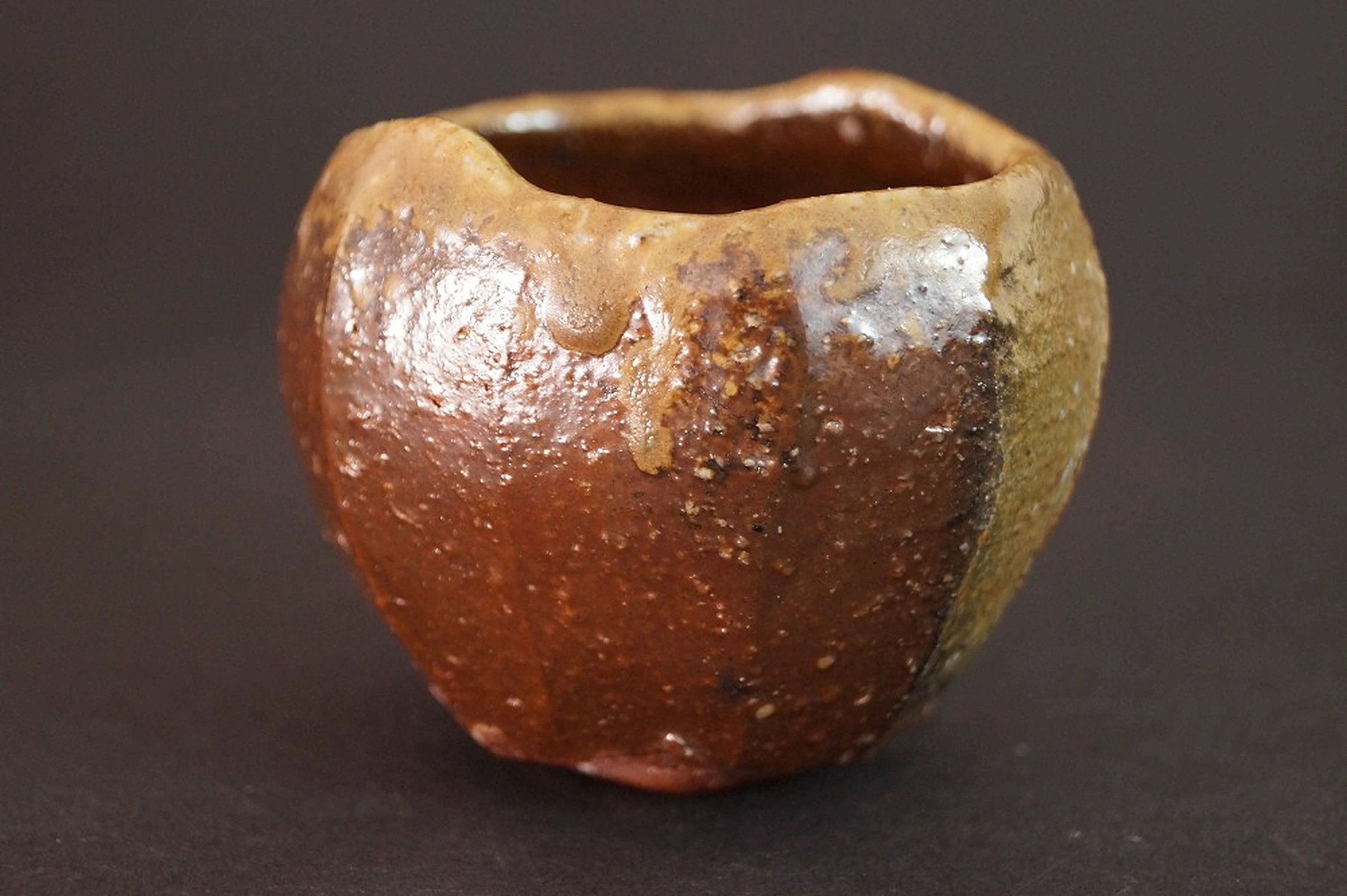 Guinomi de Bizen Atsushi Ota vista lateral 1
