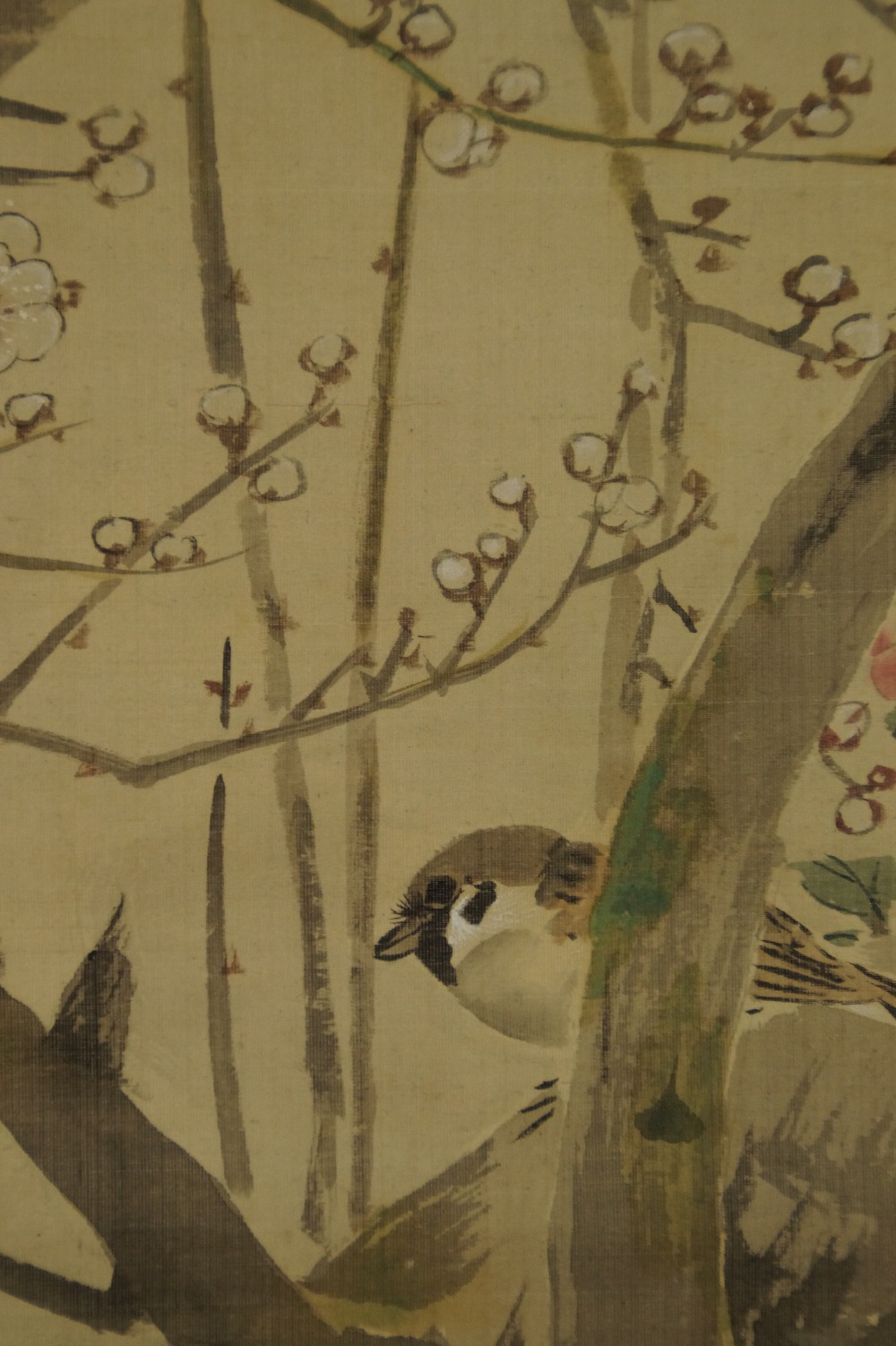 Spatz auf einem Sakura-Zweig von Mori Kansai Spatz-Motiv Nahaufnahme 2