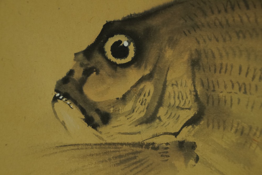 Goldbrasse von Ichigaku Hatano Fisch Motiv Nahaufnahme 2