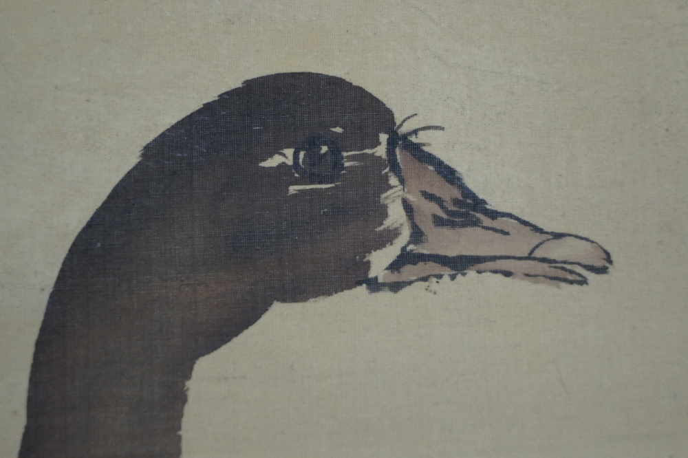 Zwei Enten Rollbild Kopf-Motiv Nahaufnahme