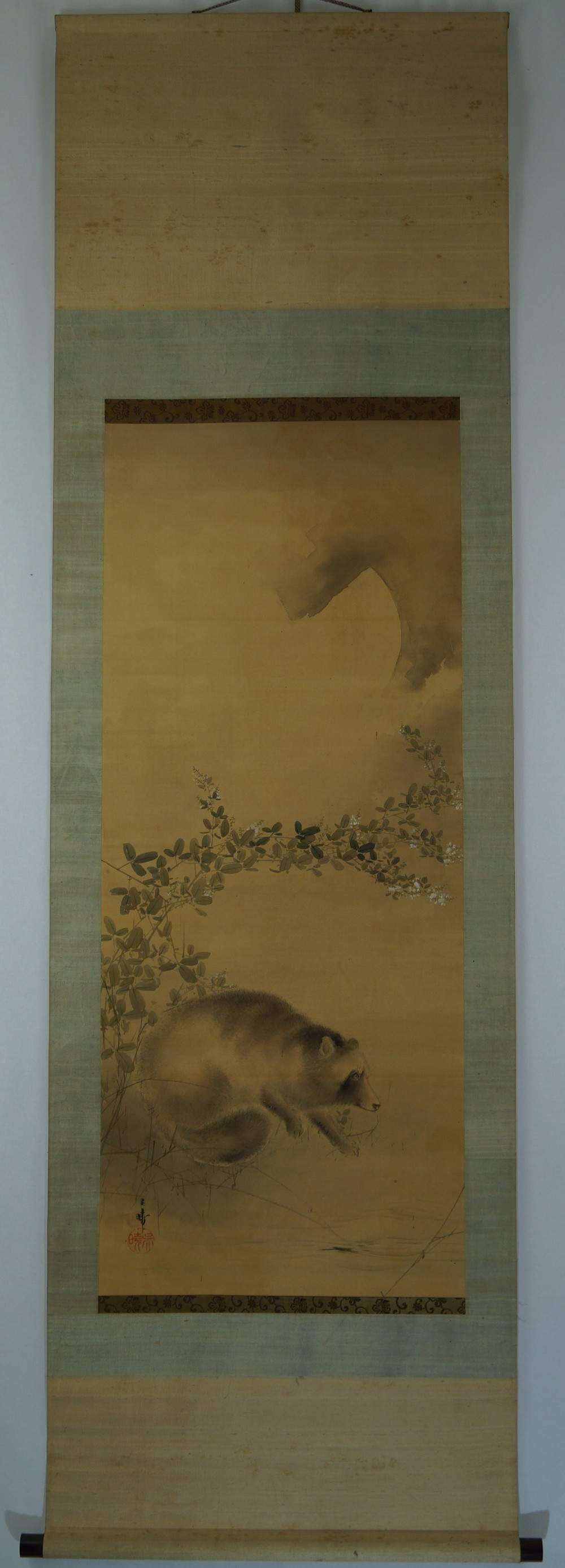 Kakemono Waschbaer Gesamtansicht Rollbild
