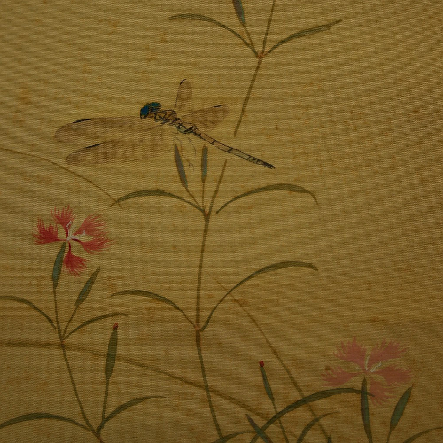 Japanisches Rollbild Libelle von Kazuyo Okutani Motiv Nahaufnahme Vorschau