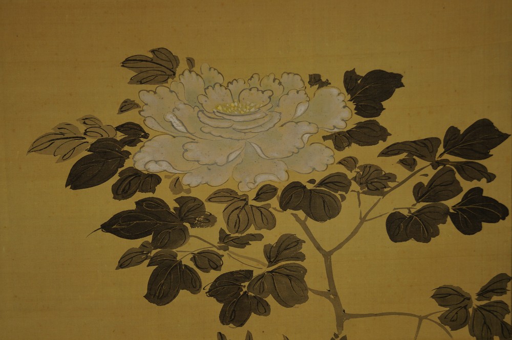 Spatzen und Chrysanthemen Rollbild Chrysanthemen-Motiv Nahaufnahme 1