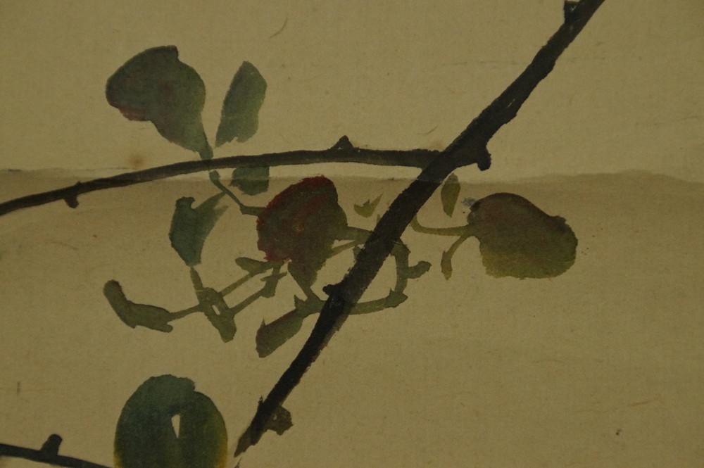 Vogel auf einem Rosenzweig Rosenmotiv Nahaufnahme 3
