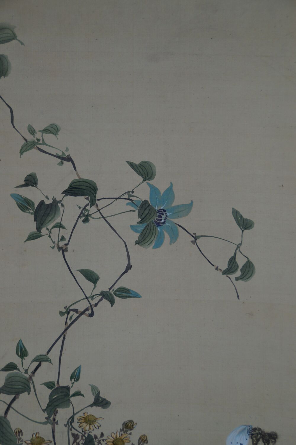 Further close-up of the blue clematis flower and tendril in the hanging scroll