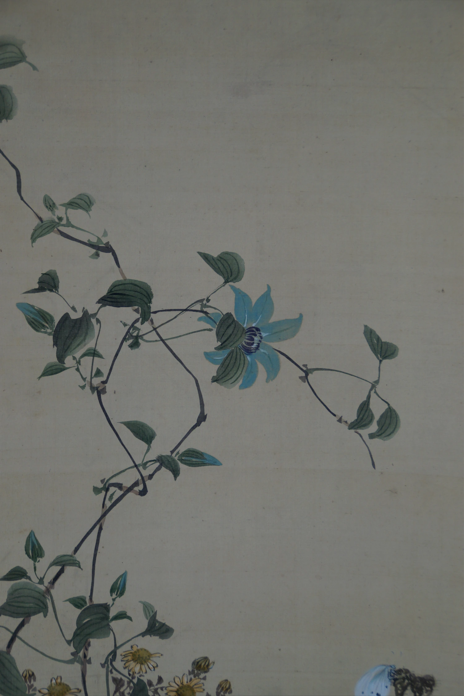 Ulteriore primo piano del fiore blu di clematide e del tralcio nel kakemono