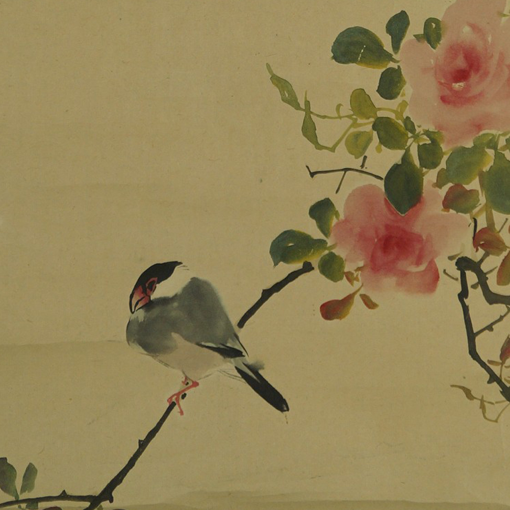 Vogel auf einem Rosenzweig Nahaufnahme Vorschau