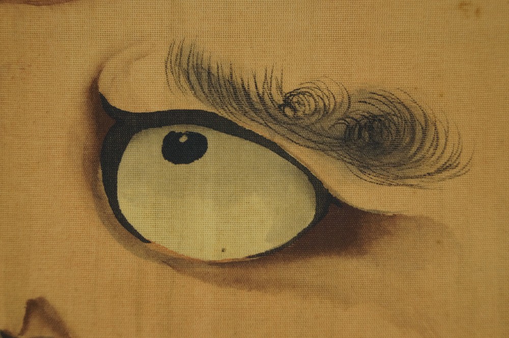 Kakemono Bodhidharma Daruma Auge Nahaufnahme