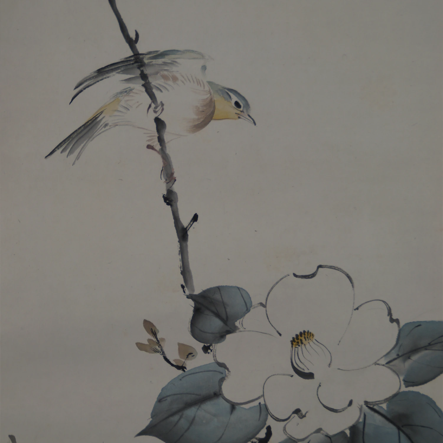 Nahaufnahme des Singvogels und der weissen Kamelienbluete im Kakemono
