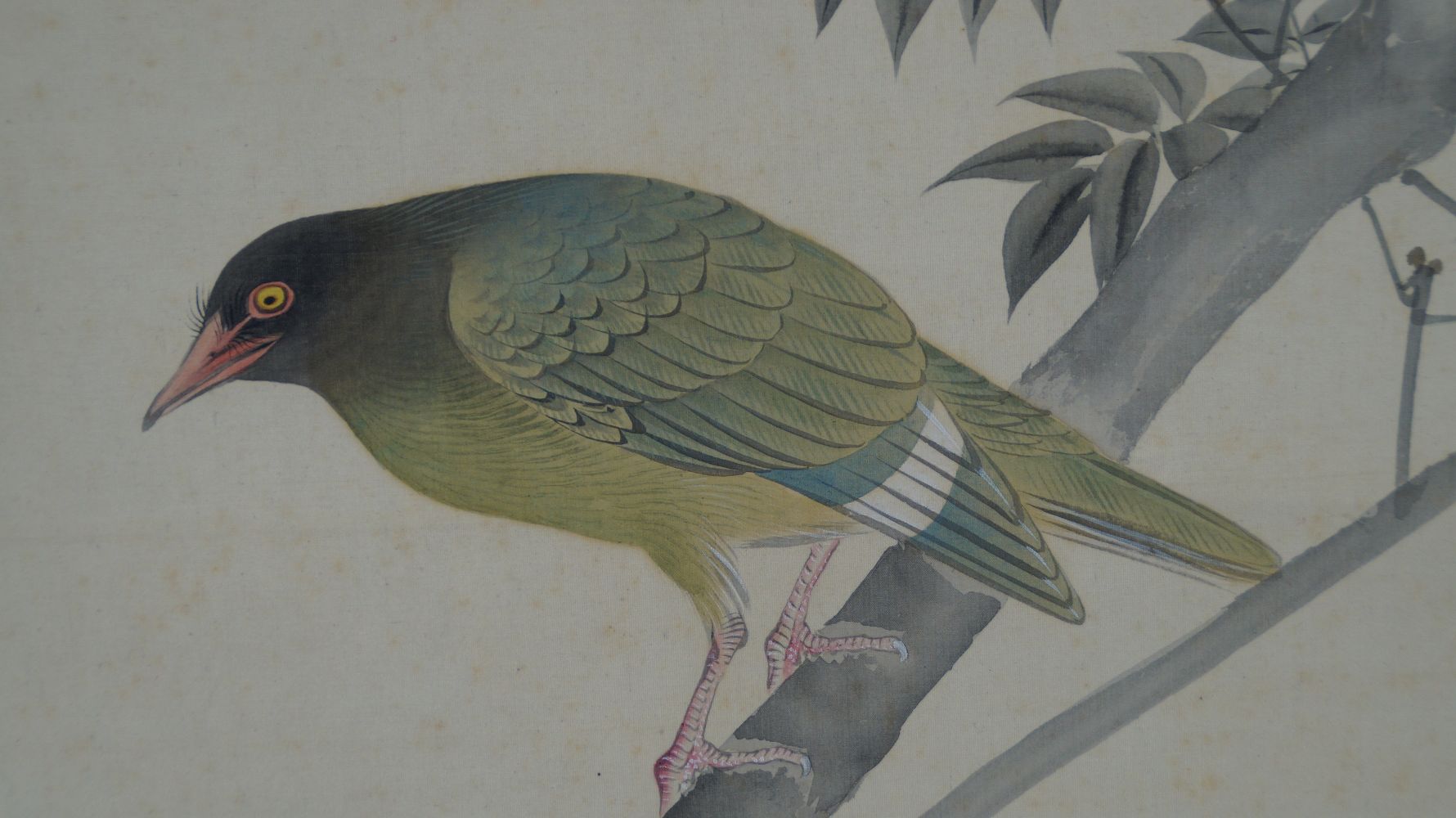 Gros plan extrême de la tête de l'oiseau à l'oeil jaune dans le kakemono Oiseau sur un arbre fruitier
