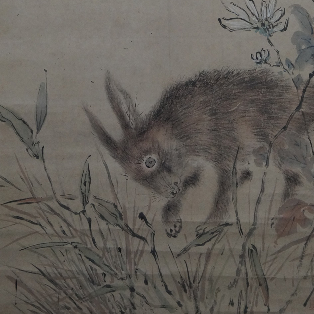 Der Hase im Gras Kakejiku Motiv Nahaufnahme Vorschau