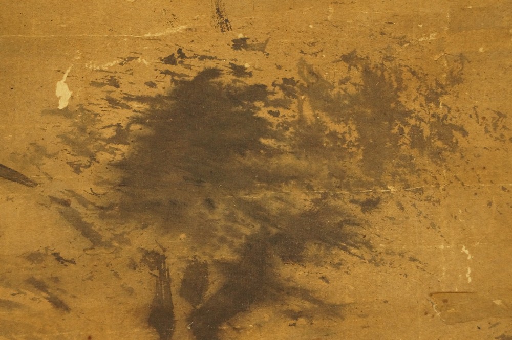 Arbre et végétation des berges Gros plan sur le motif de l'arbre