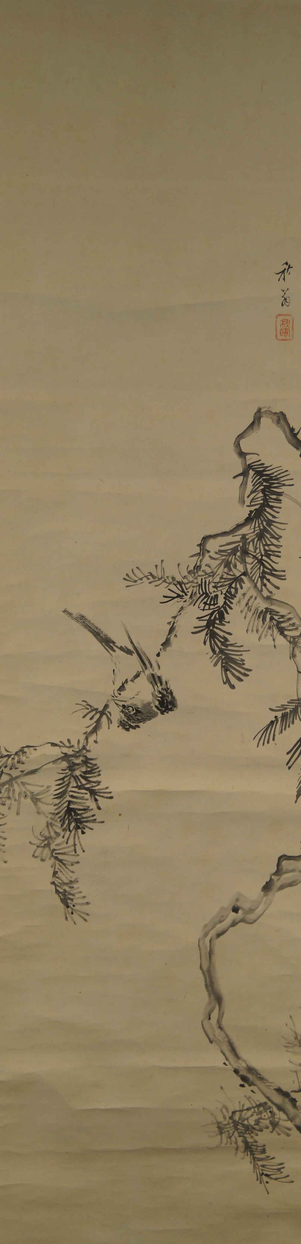 Vogel auf Kiefernzweig von Akiaki Okamoto Gesamtmotiv ohne Rahmung