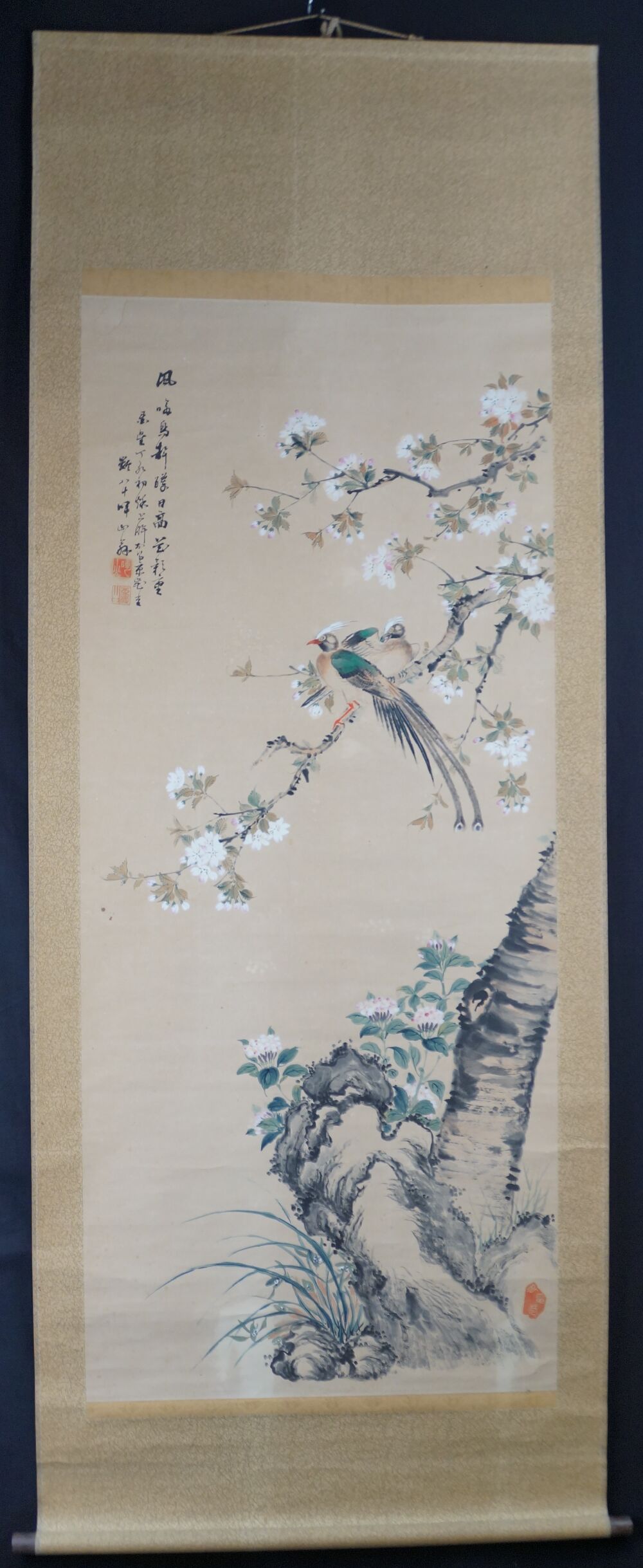 Kakemono Fruehlingsduett auf bluehendem Ast von Takahashi Keizan in voller gerahmter Ansicht