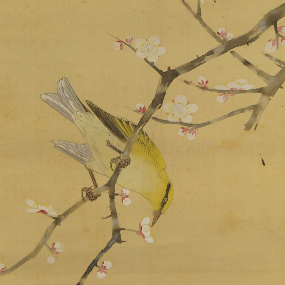 Vogel und Pflaumenblueten von Hiroshi Matsuda Motiv Nahaufnahme Vorschau