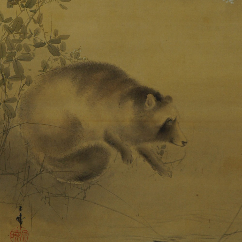 Kakemono Waschbaer Motiv Nahaufnahme Vorschau