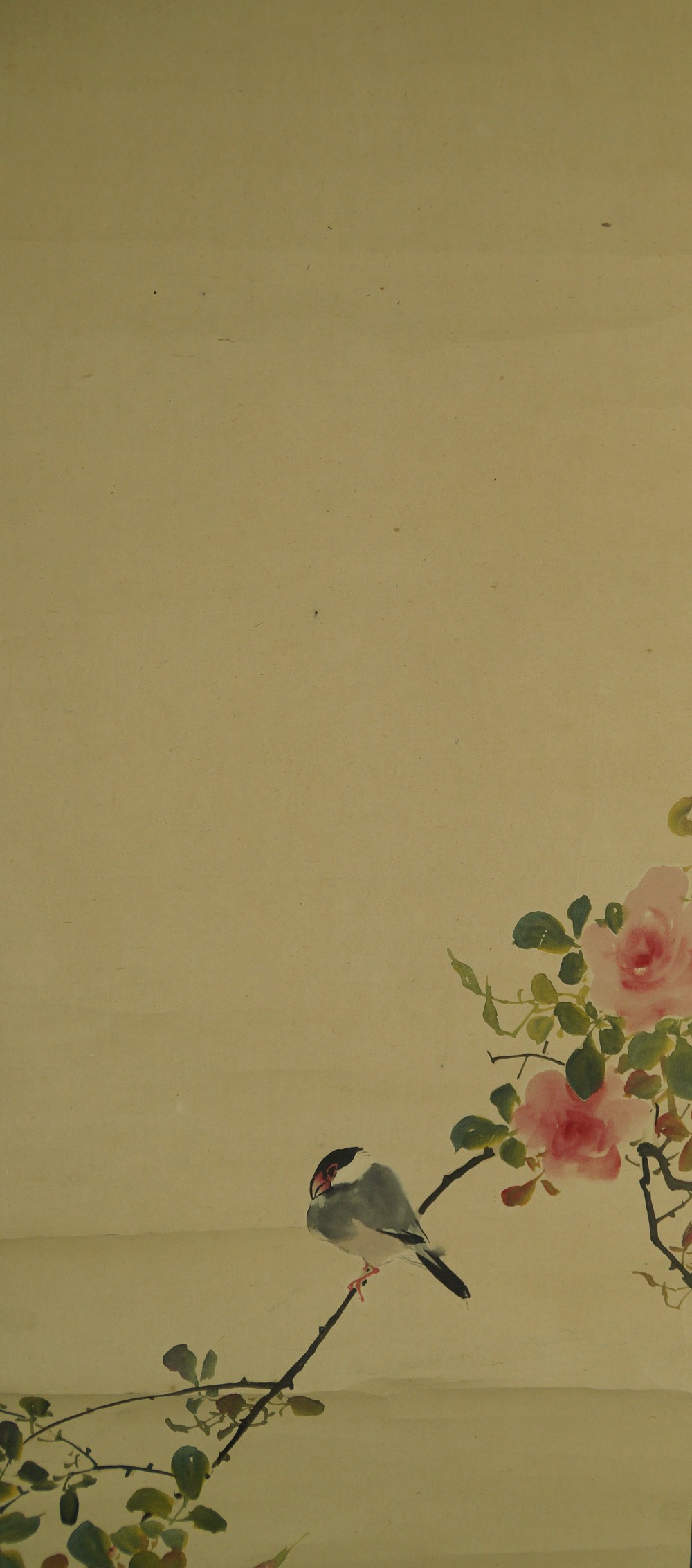 Vogel auf einem Rosenzweig Vogel Motiv Nahaufnahme