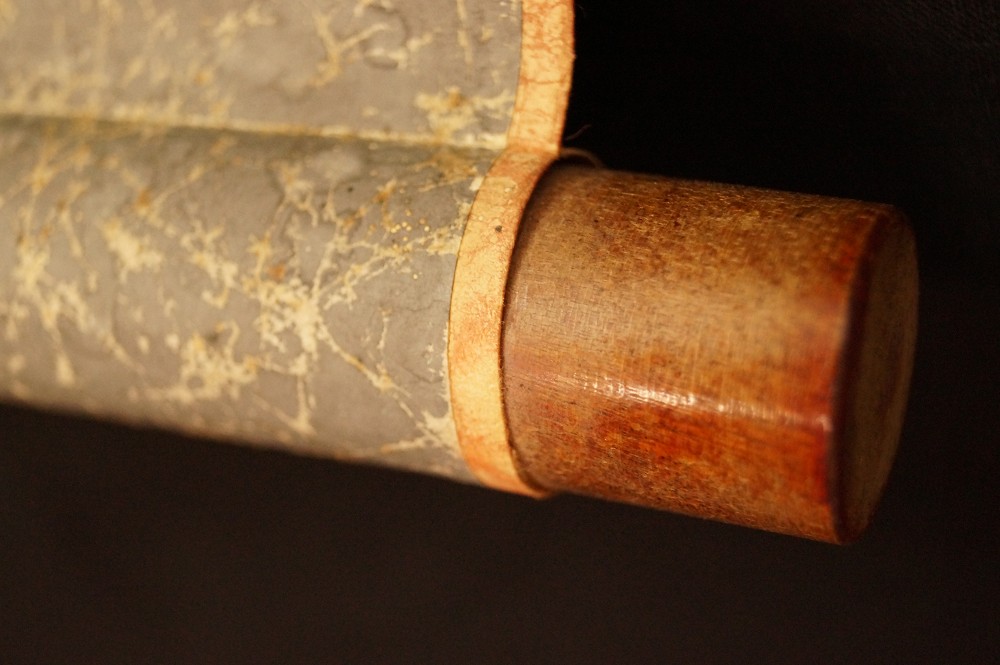 Mapache detalle del rollo