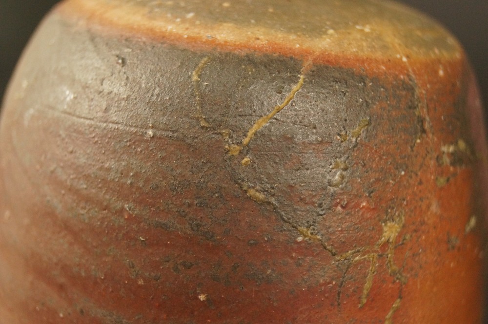 Bizen Tokkuri von Shuzo Ogawa Motiv Nahaufnahme