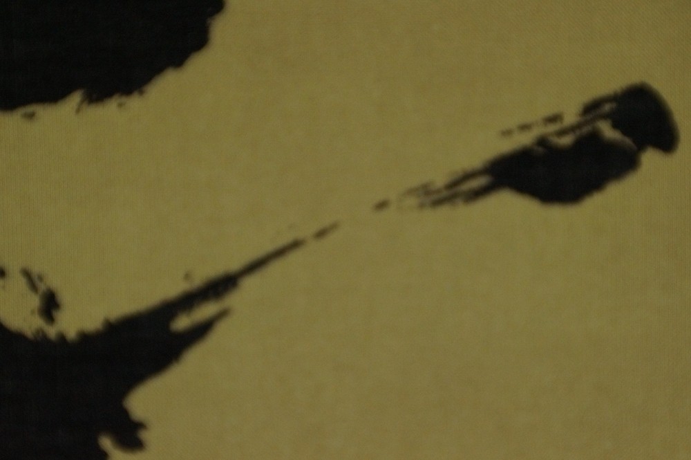 Zen Kalligrafie Der Weg von Yasutaka Nakamura Pinselfuehrung Nahaufnahme 3