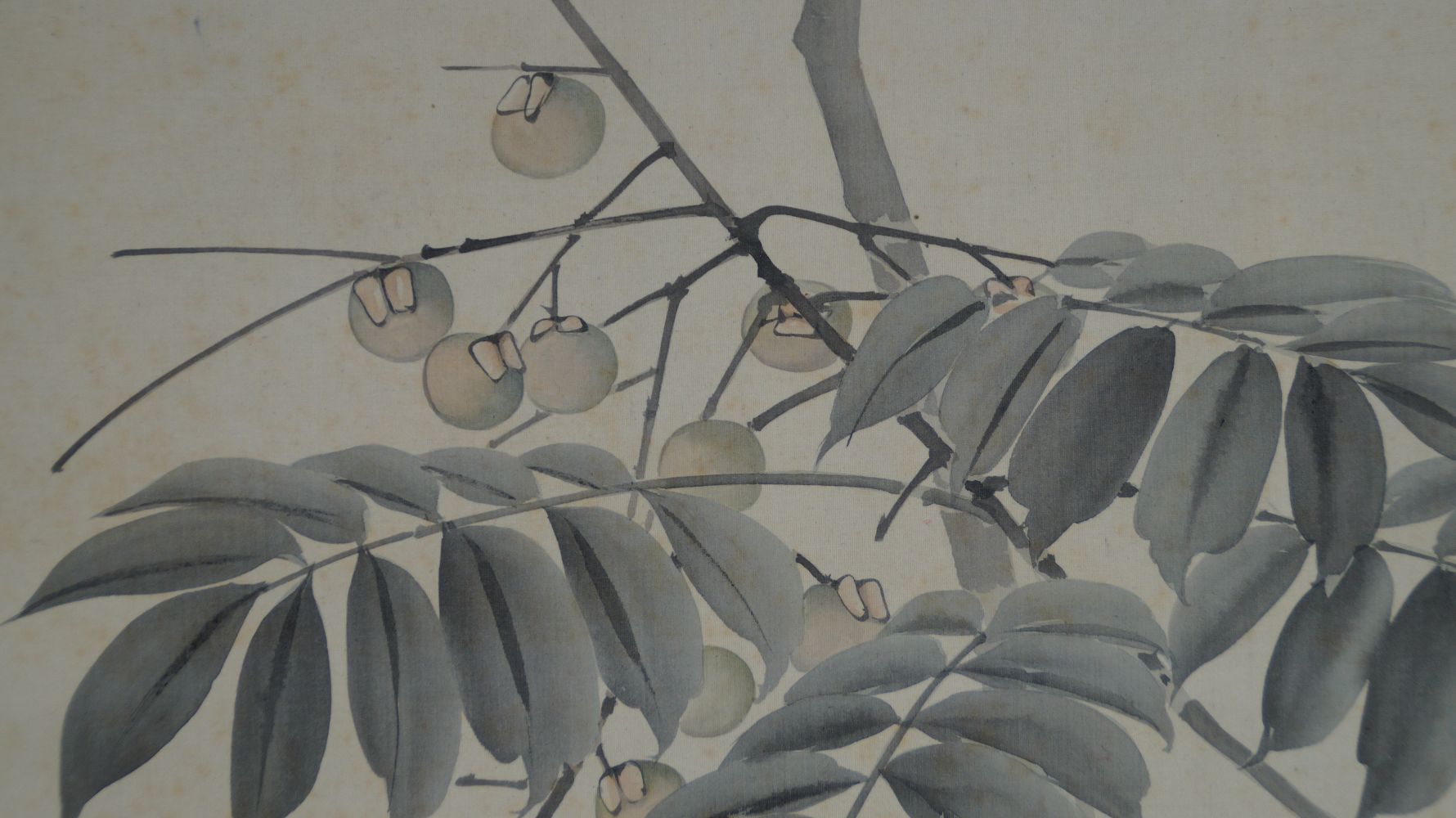 Gros plan des fruits pendants de l'arbre fruitier dans le kakemono Oiseau sur arbre fruitier