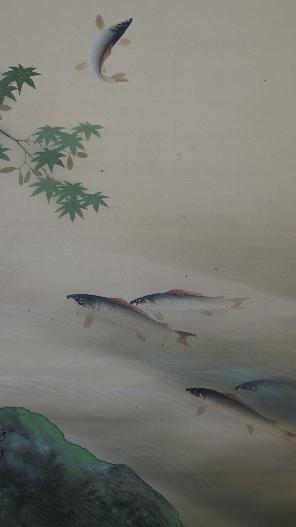 Nahaufnahme der schwimmenden Ayu-Fische in der Stroemung neben dem Felsen im unteren Bildbereich