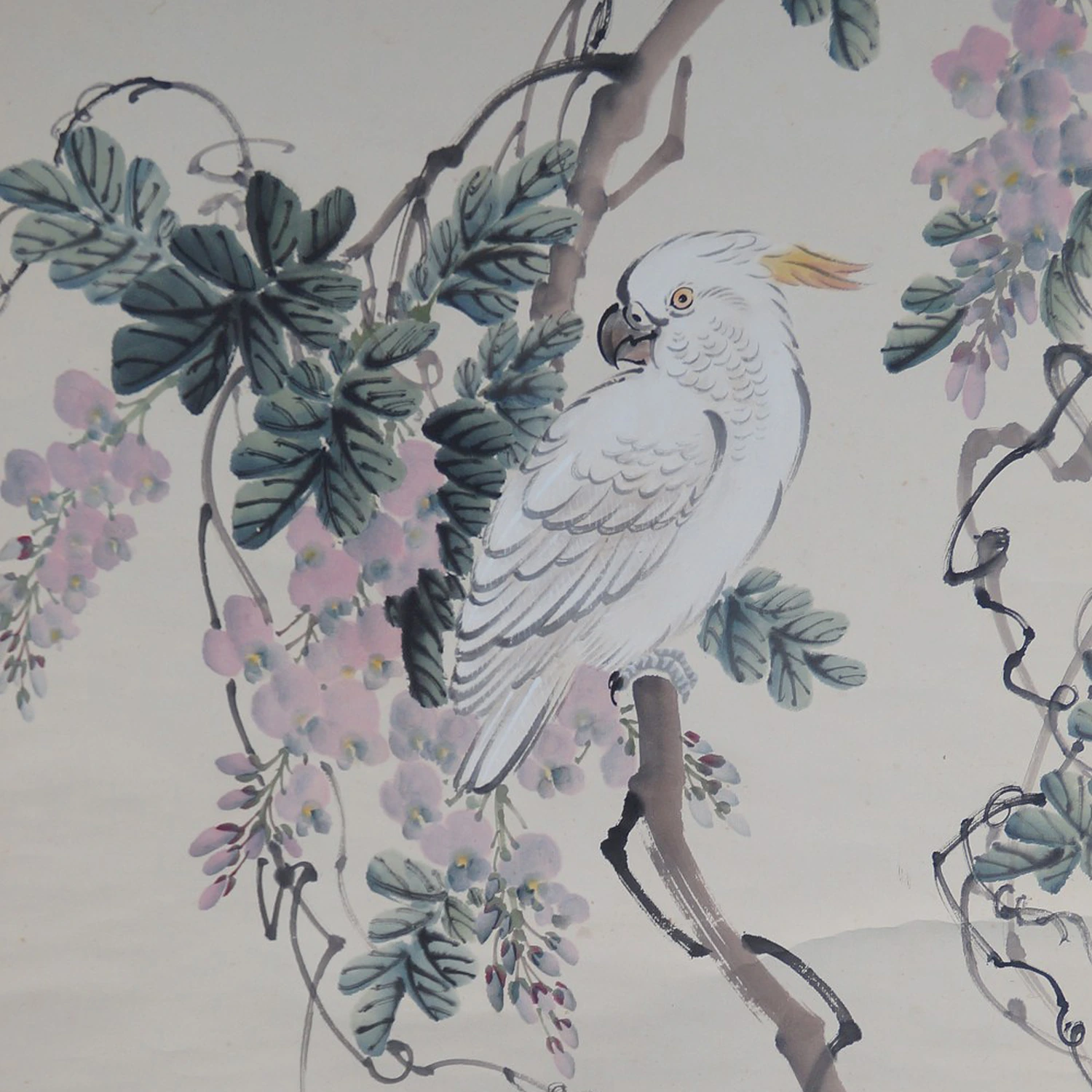 Kakadu in bluehenden Glyzinien Kakemono von Cho Ikkyu Motiv Nahaufnahme Vorschau