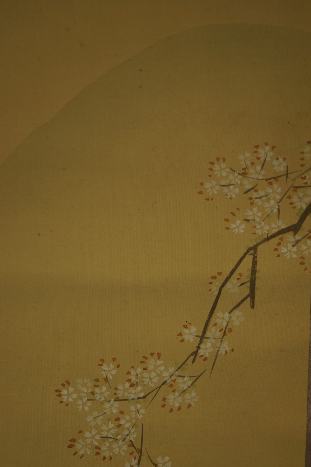 Belleza de Shuuko Nakayama, motivo de flores de cerezo, primer plano 1