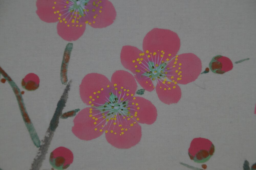 Otro primer plano de las flores de ciruelo en el kakemono uguisu en ciruelo en flor