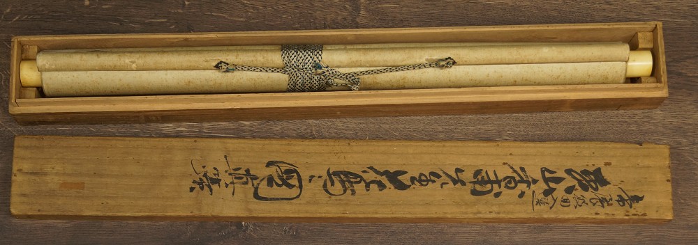 Papagai Rollbild von Kaura Moriyama Kakemono in Aufbewahrungsbox