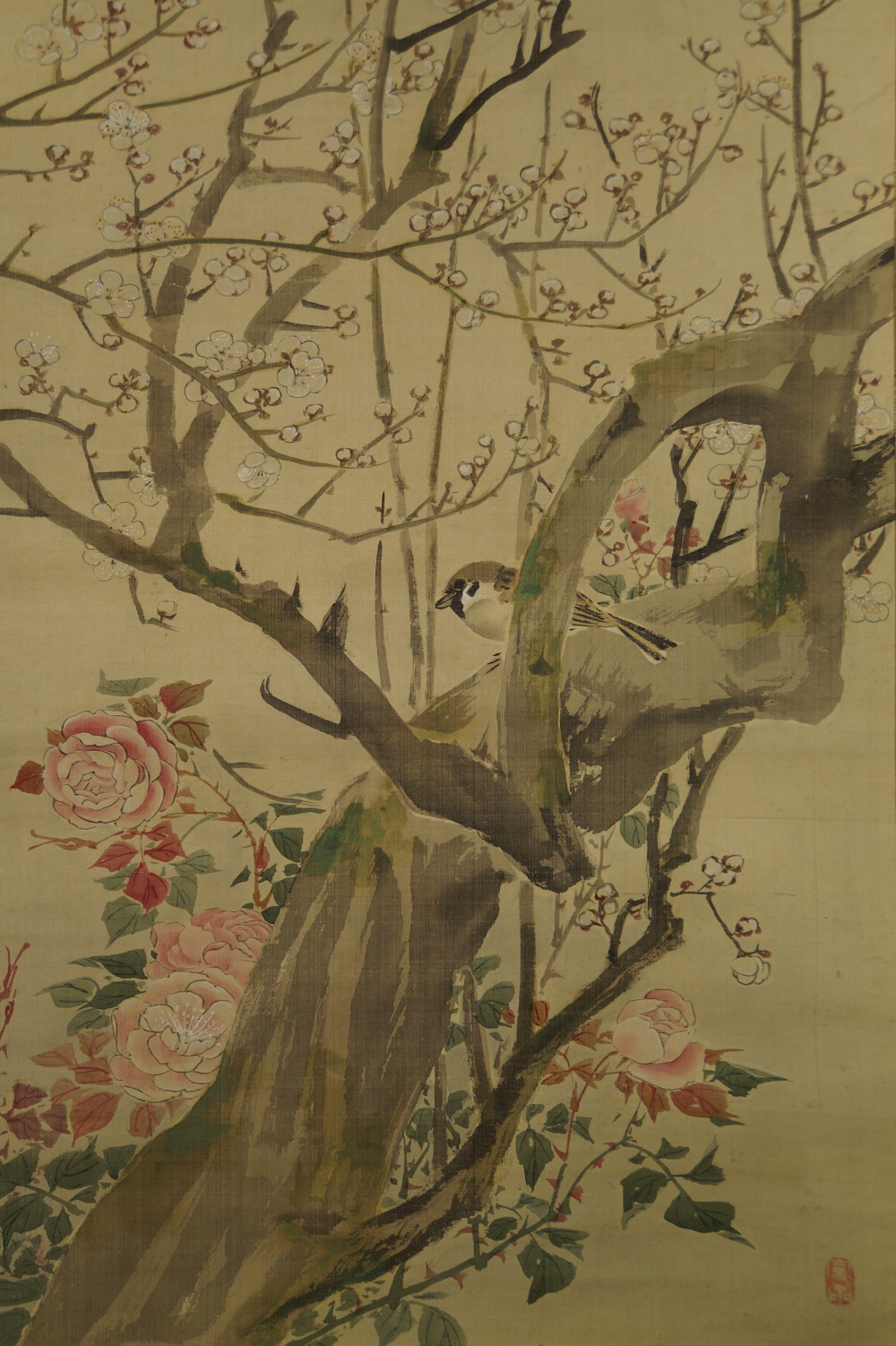 Spatz auf einem Sakura-Zweig von Mori Kansai Spatz-Motiv Nahaufnahme
