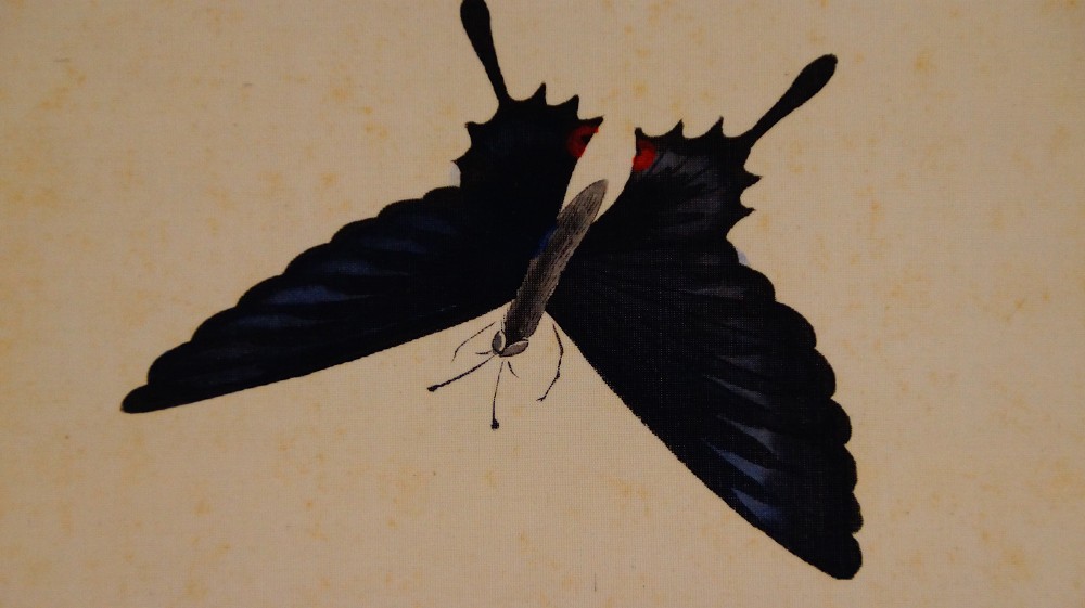Motyl nad kwiatami piwonii autorstwa Ryokuro motyw motyla zbliżenie 2
