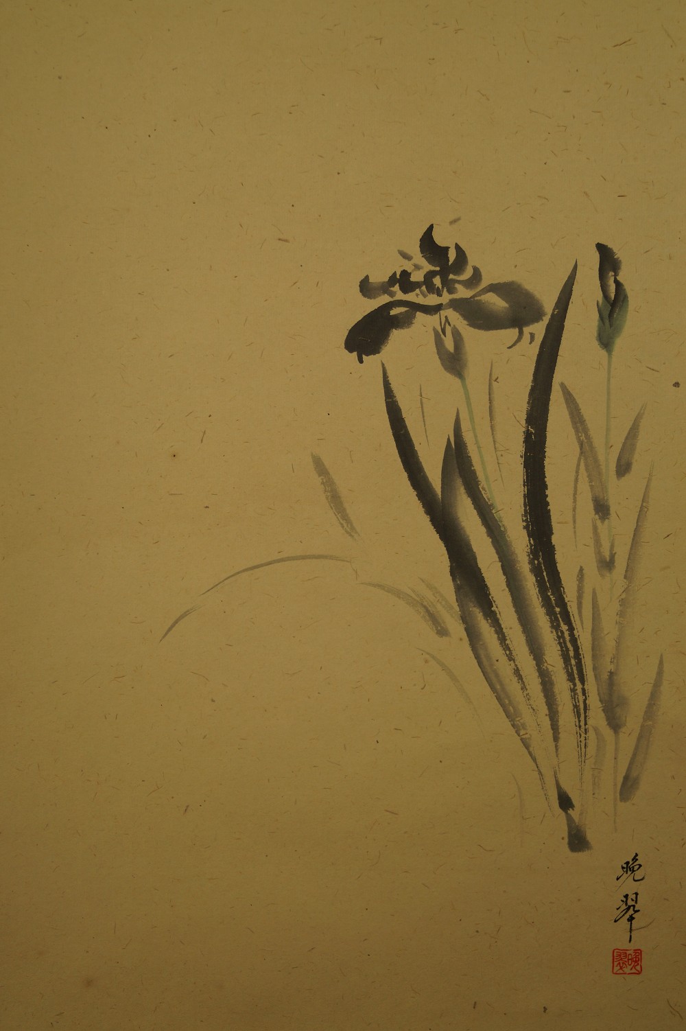 Iris Kakemono Iris Motiv Nahaufnahme 1