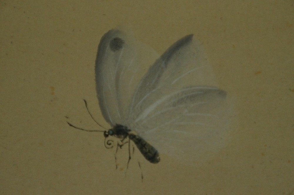 Zwei Schmetterlinge von Gyokusha Haruki Schmetterling Motiv Nahaufnahme 2