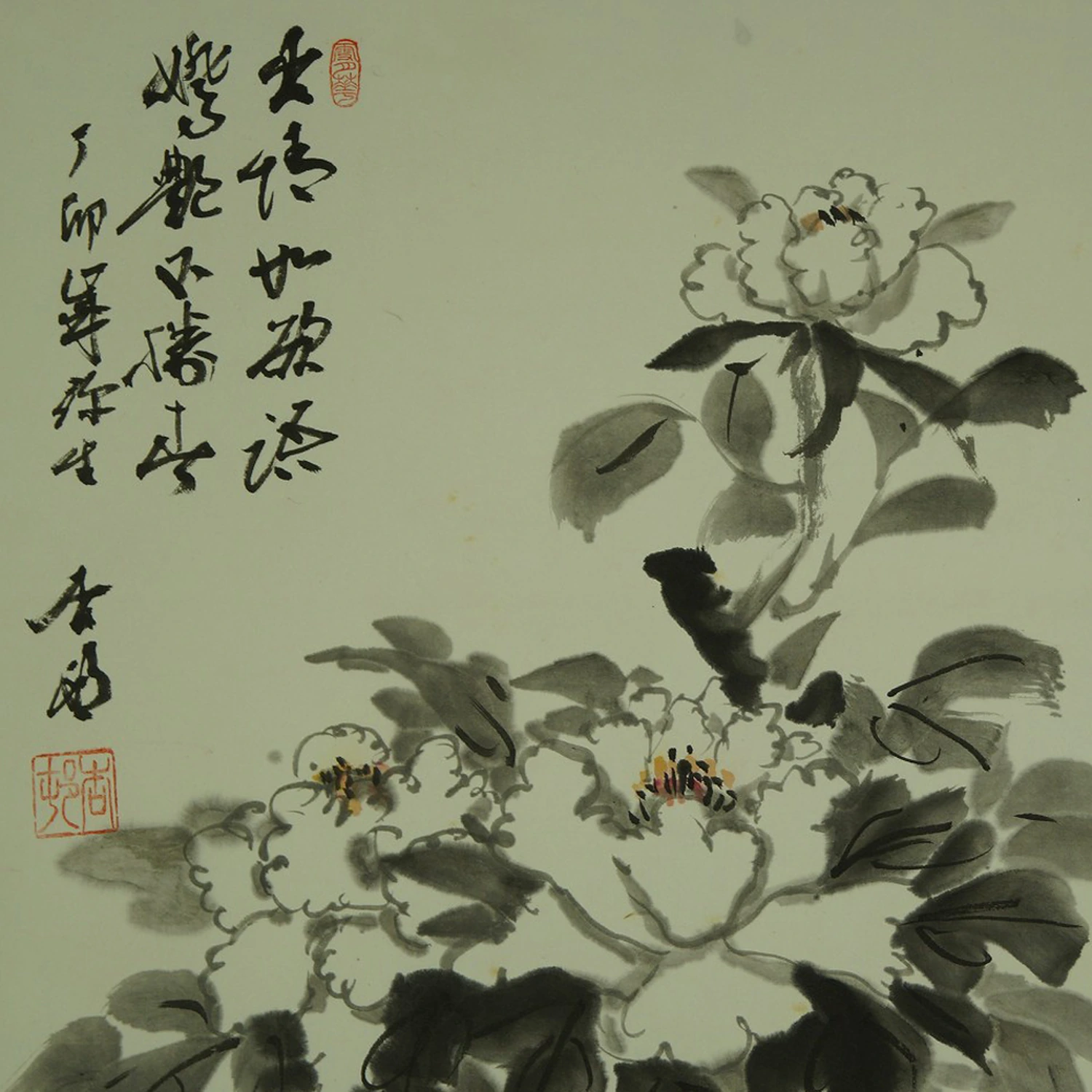 Kakemono Pfingstrosen Motiv Nahaufnahme Vorschau