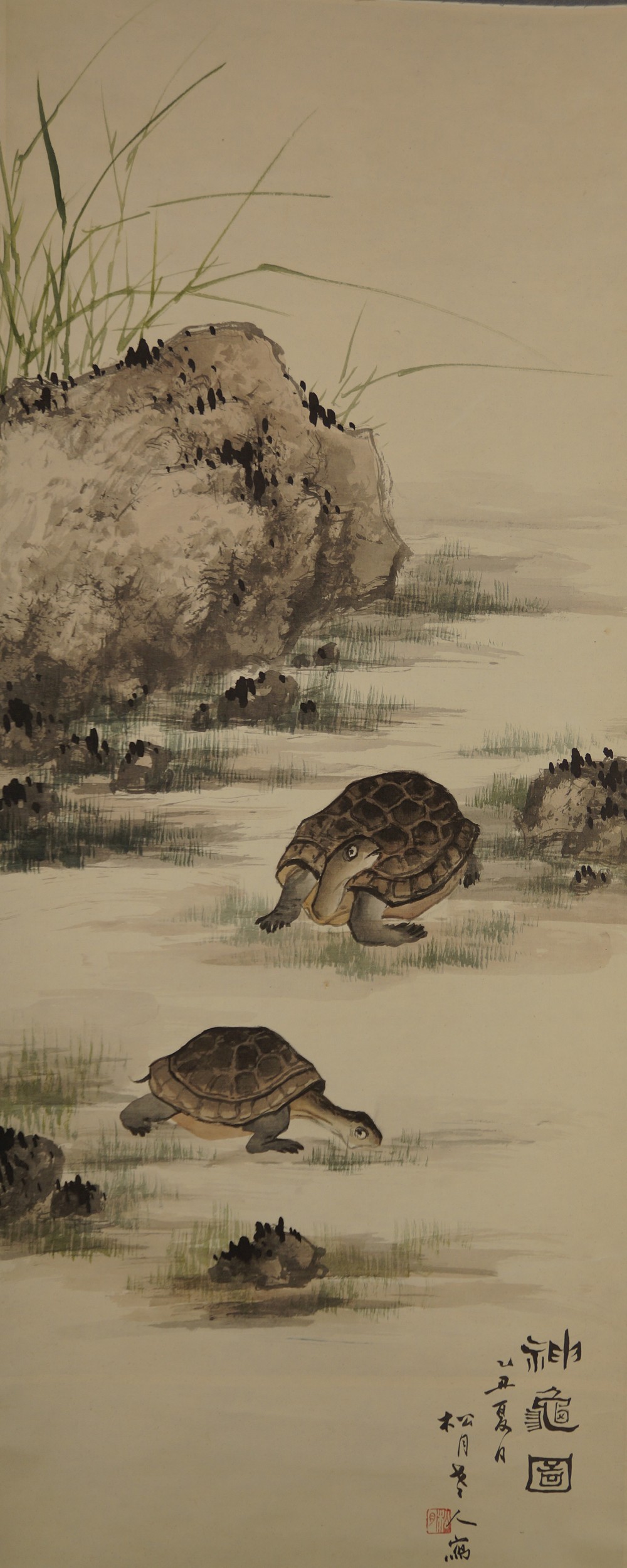 Zwei Schildkroeten von Shogetsu Gesamtmotiv ohne Rahmung