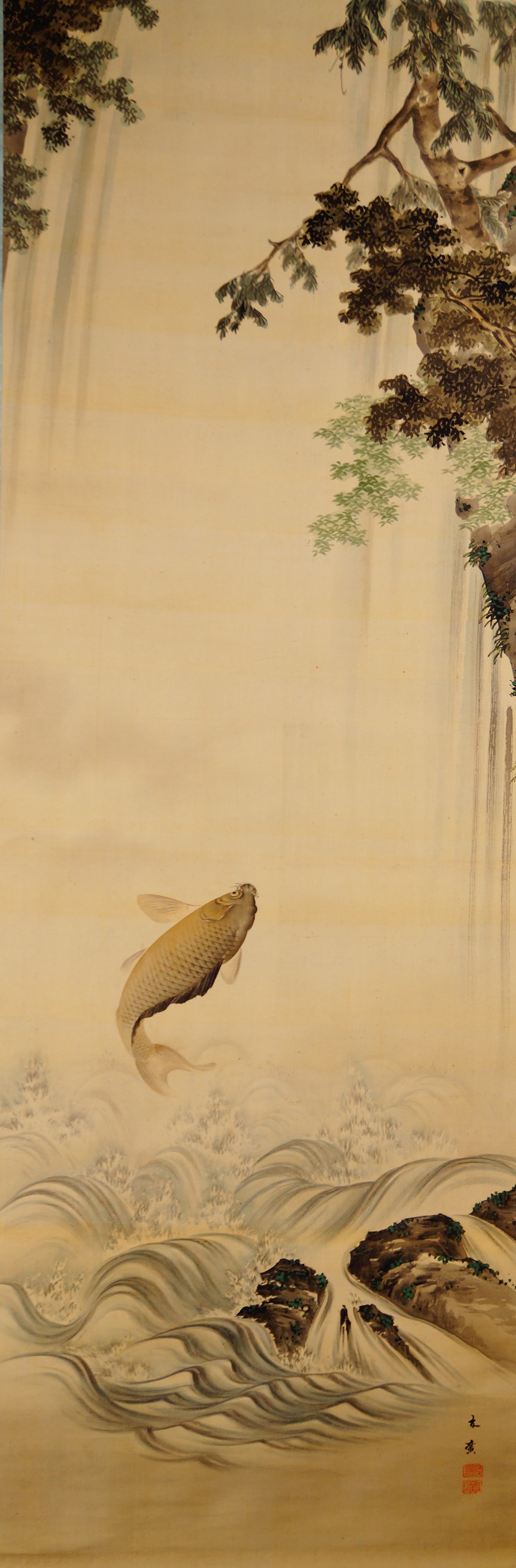 Springender Karpfen unter Kiefernzweigen und Wasserfall im Kakemono von Takekawa Tomohiro mit Kuenstlersignatur und rotem Siegel