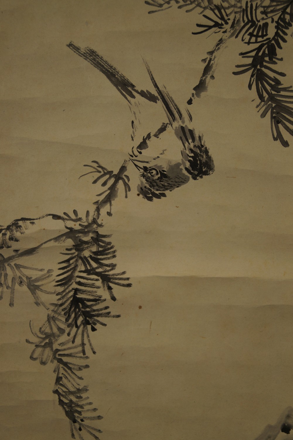 Vogel auf Kiefernzweig von Akiaki Okamoto Vogel-Motiv Nahaufnahme 1