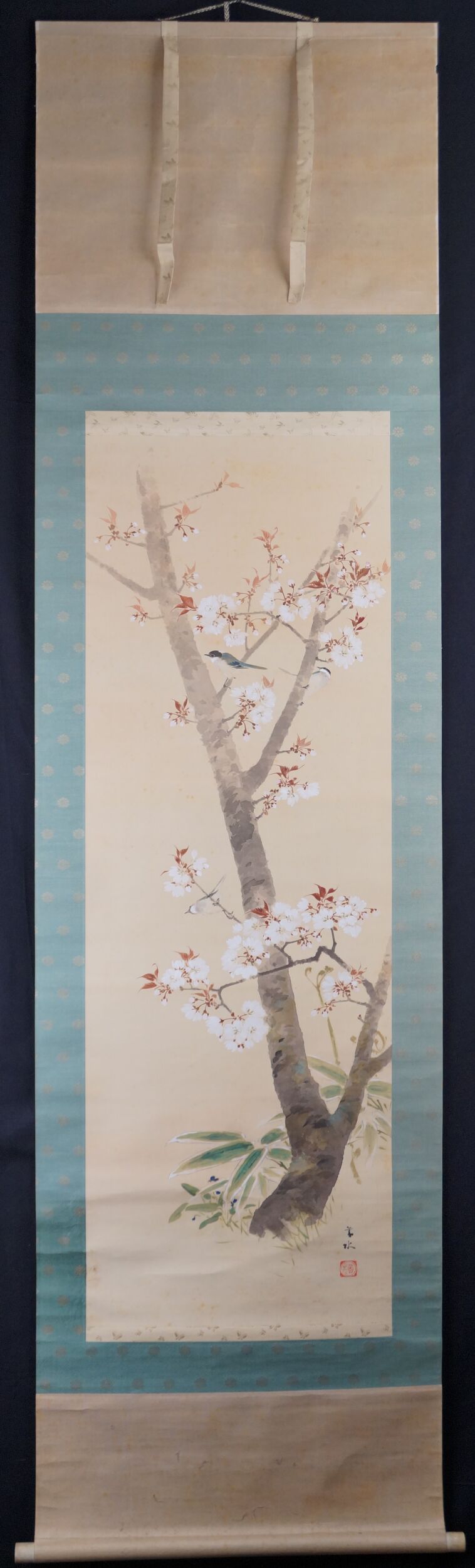 Kakemono Fruehling an der alten Kirschbluete von Suma Taisui in voller gerahmter Ansicht