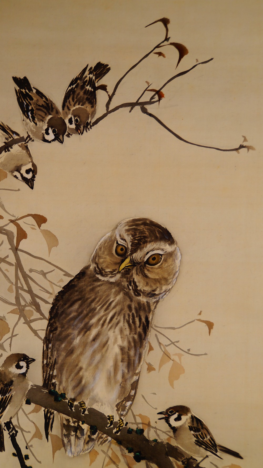 Nahaufnahme der Eule mit den umherfliegenden Spatzen im oberen Bildbereich des Kakemono Eule und Spatzen von Nakajima Kaho