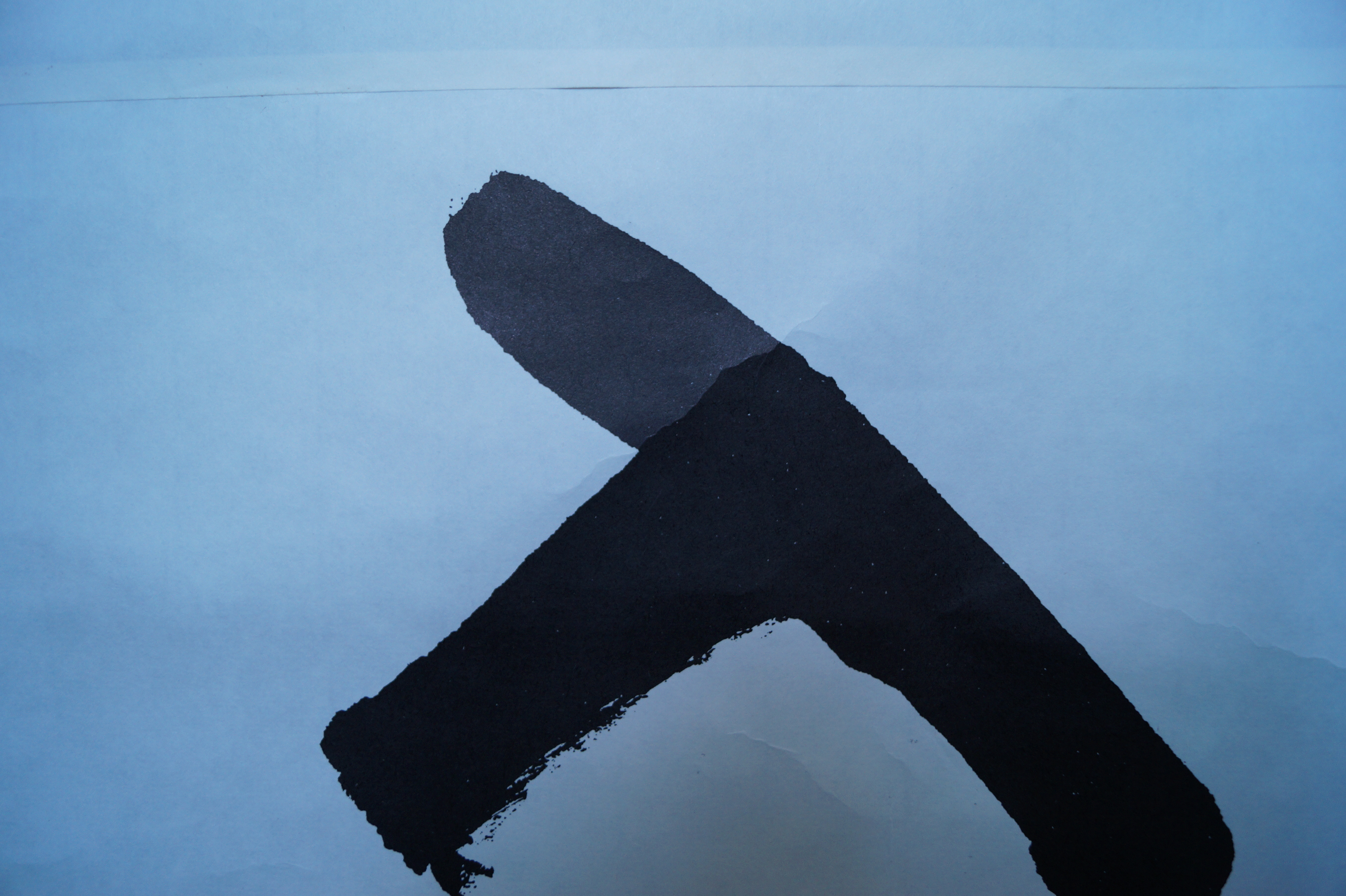 Kakemono Calligraphy Brushwork Close-Up