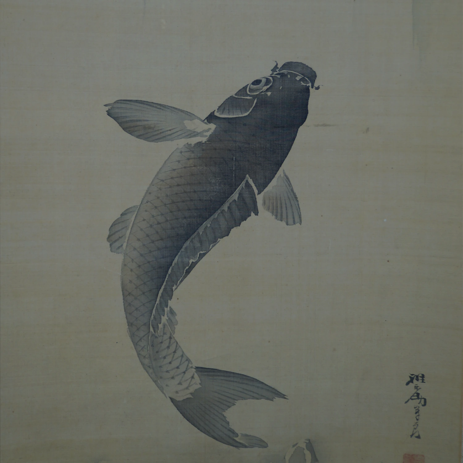 Weitere Nahaufnahme des Koi mit Kuenstlersignatur im Kakemono Koi am Wasserfall