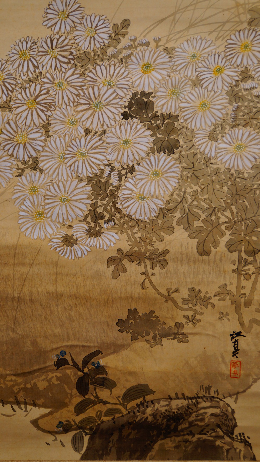 Sperlinge ueber Chrysanthemen Kakemono von Fukui Kotei Chrysanthemen-Motiv Nahaufnahme 2