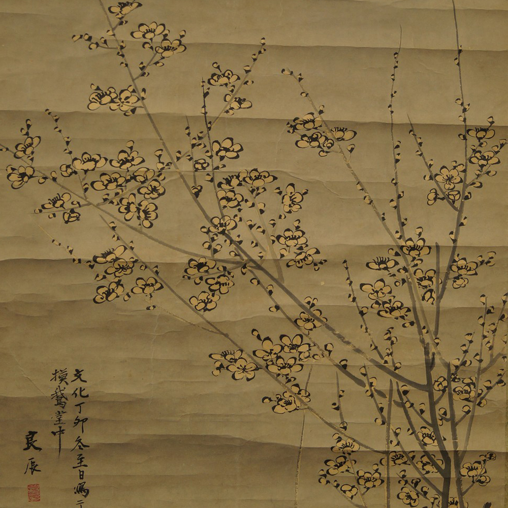 Sakura Rollbild Motiv Nahaufnahme Vorschau