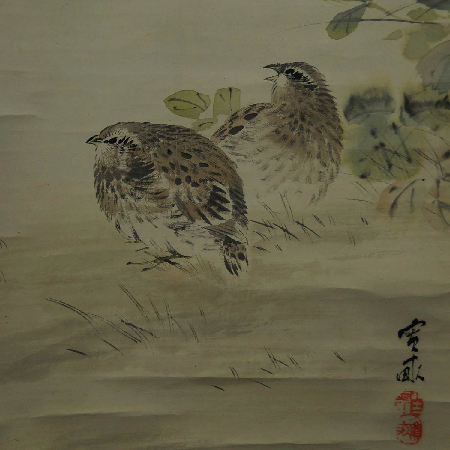 Wachteln im Gras von Hiroune Araki Motiv Nahaufnahme Vorschau