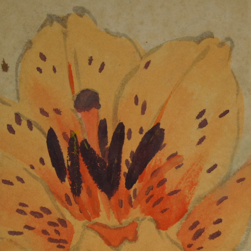 Orangefarbene Lilienbluete Motiv Nahaufnahme Vorschau
