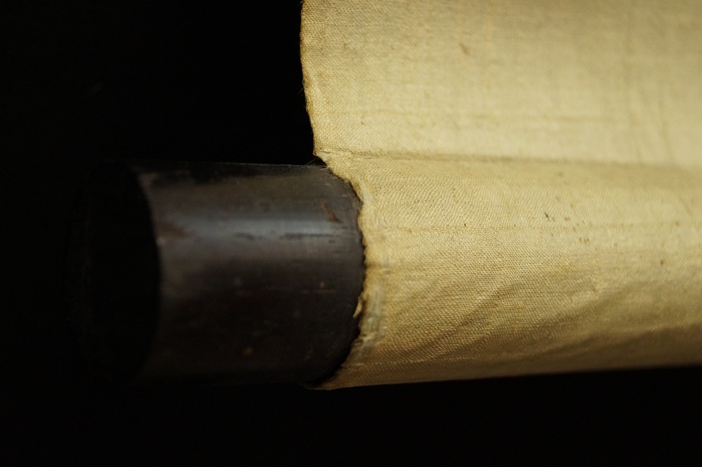 Falke auf der Jagd Rollendetail