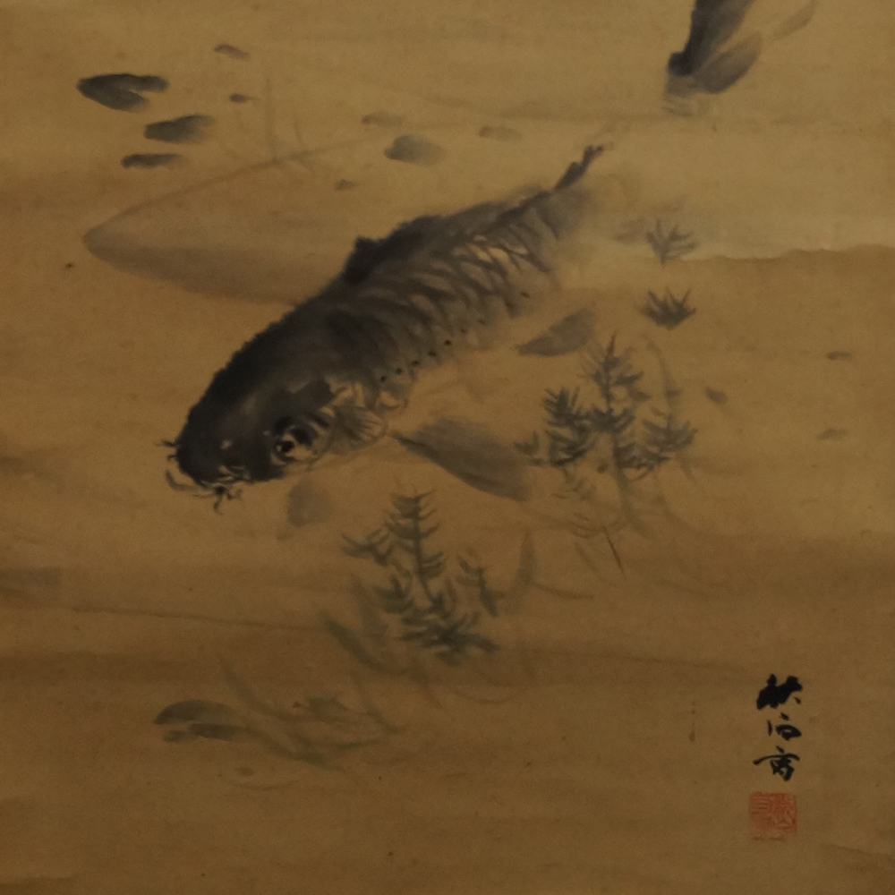 Koi im Wasser Motiv Nahaufnahme Vorschau