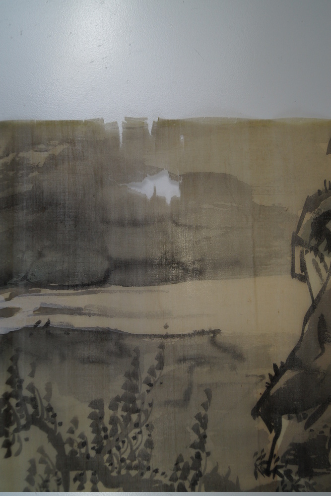 Paysage roseaux gros plan