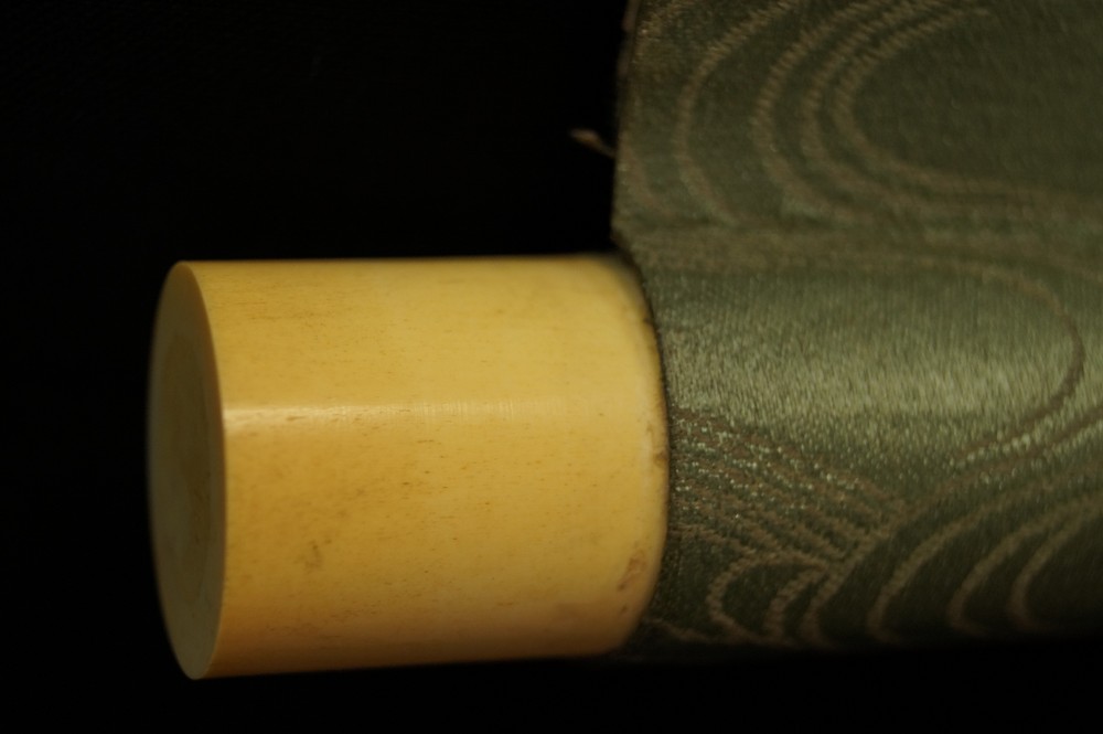 Vogel auf einem Ahornzweig Rollendetail